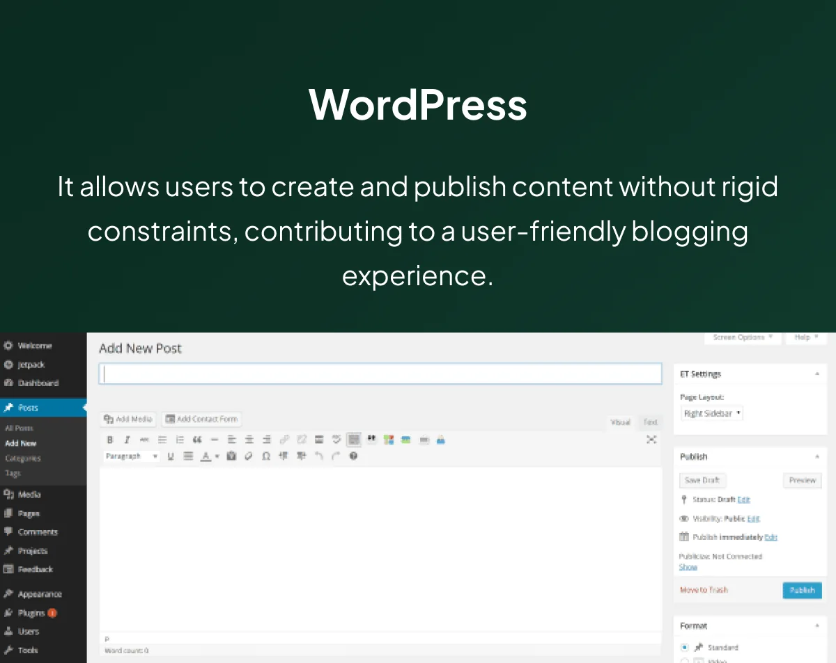 Postel’s Law Example — WordPress