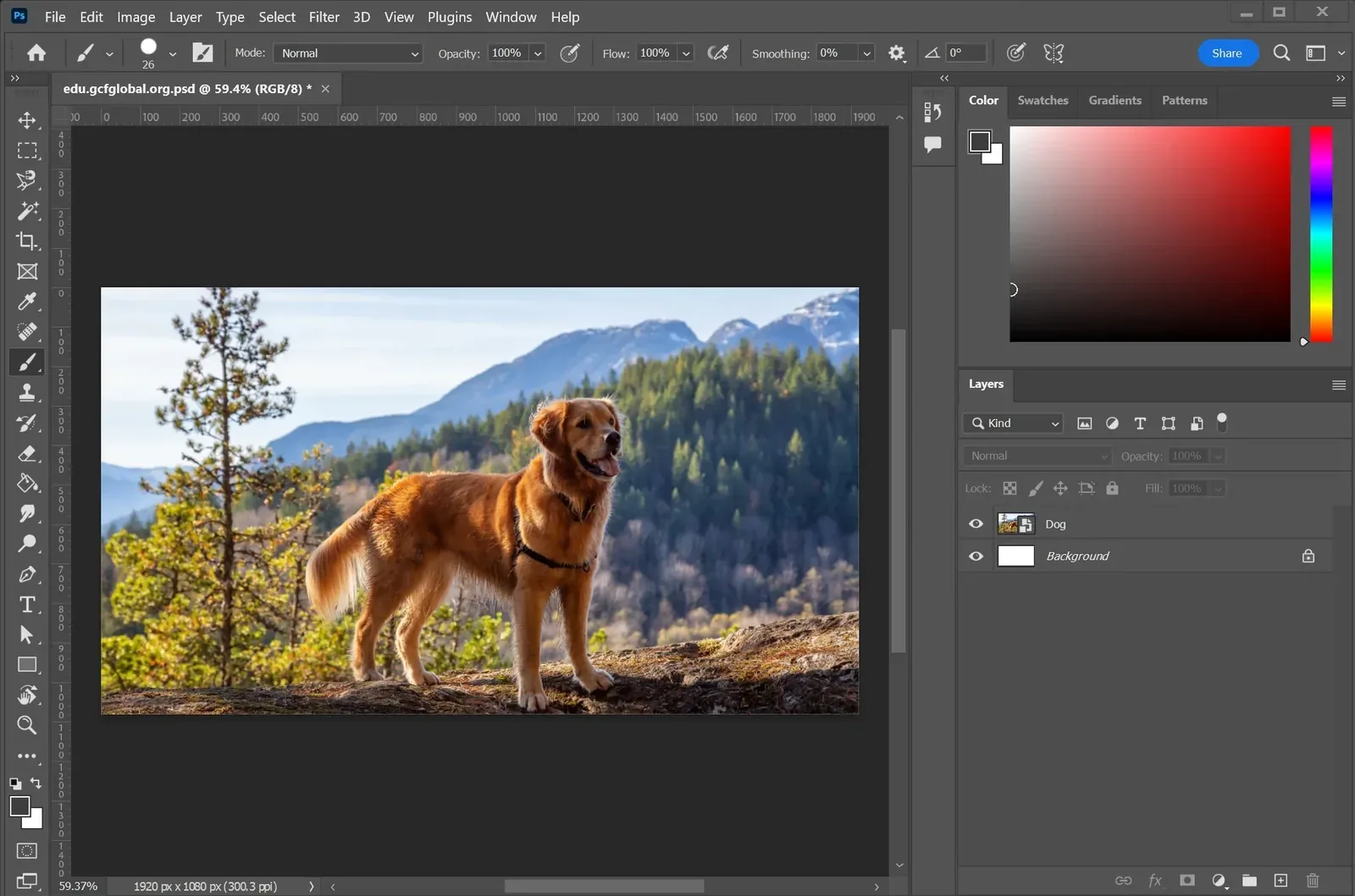 Adobe Photoshop