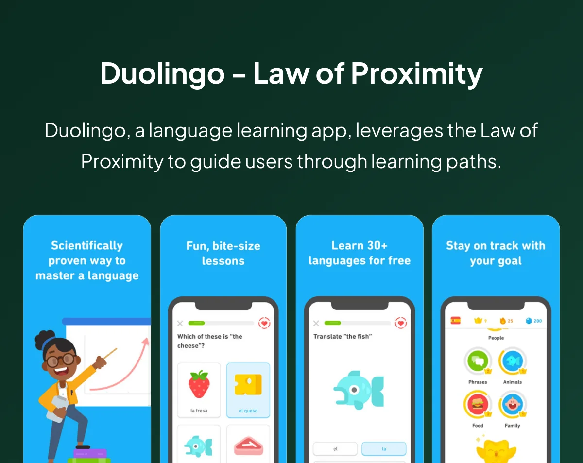 Law of Proximity on Duolingo's Interface